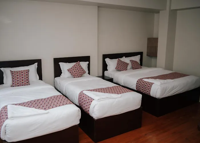Oyo 834 Ye Layeku Boutique Pvt Ltd 3* Kathmandu